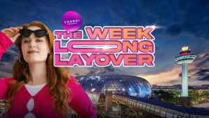 Changi Airport 'The Week-Long Layover' via Connecting Plots 