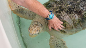Seiko 'Save the Ocean' via Man of Many