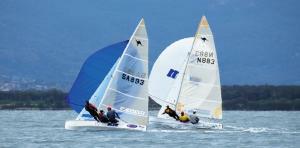 Sharpie. Photo Mary Tulip.