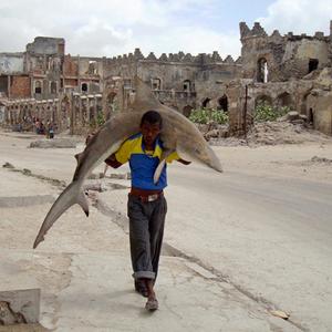 First Prize Daily Life Single: Man carries a shark through the streets of Mogadishu, Somalia, 23 September. Photo by Omar Feisal, Somalia, for Reuters.