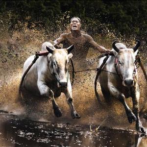 Image by Chan Kwok Hung, courtesy of Sony World Photography Awards 2011.