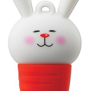 Kingston welcomes the Year of the Rabbit