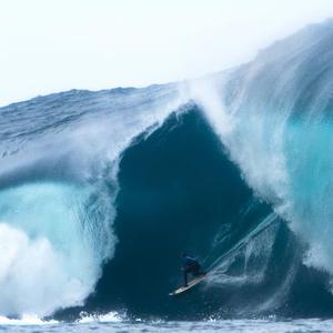 Image by Ray Collins