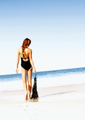 Rochford: One of the brands sold off under Mercury Brands Group.