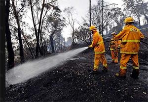IN DANGER: Melba Industries is currently in the middle of orders for the material used in both the CFA and Metropolitan Fire Brigade uniforms. Image courtesy of News Limited.