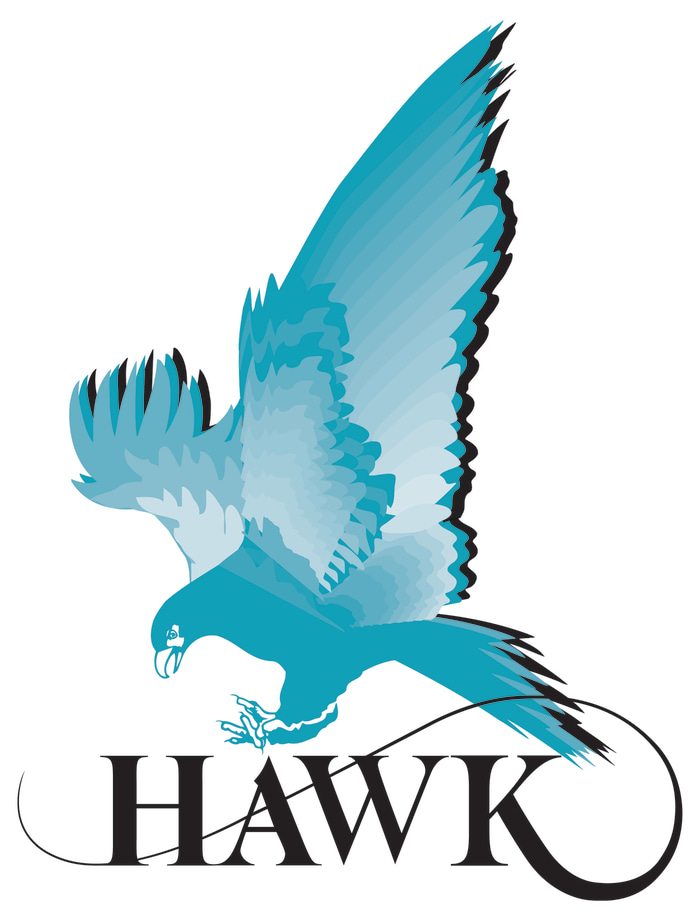 Hawk Measurement Systems