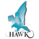 Hawk Measurement Systems