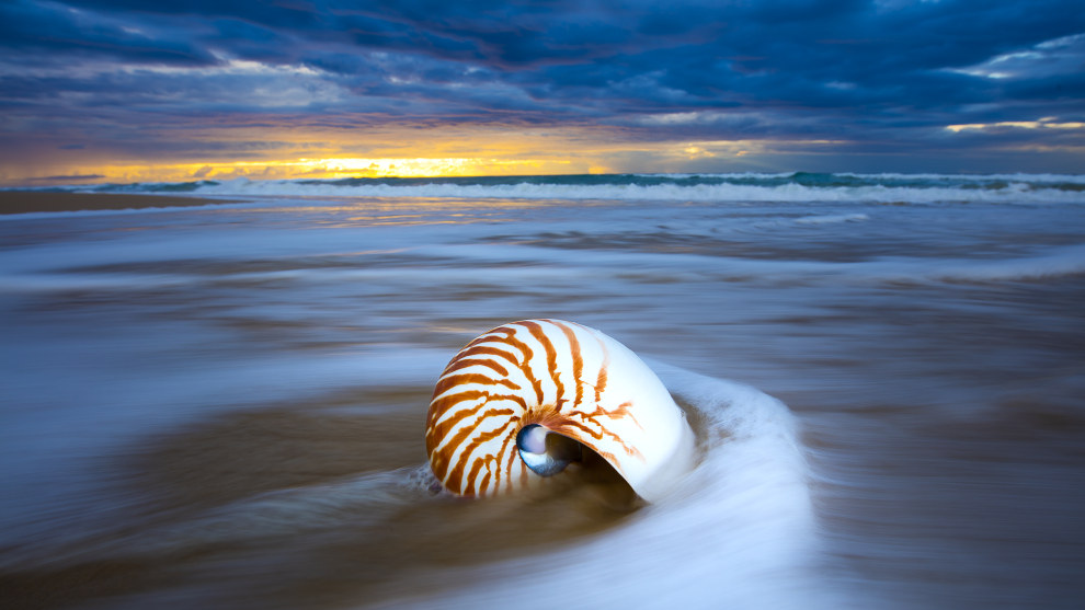 Fraser island © Darran Leal