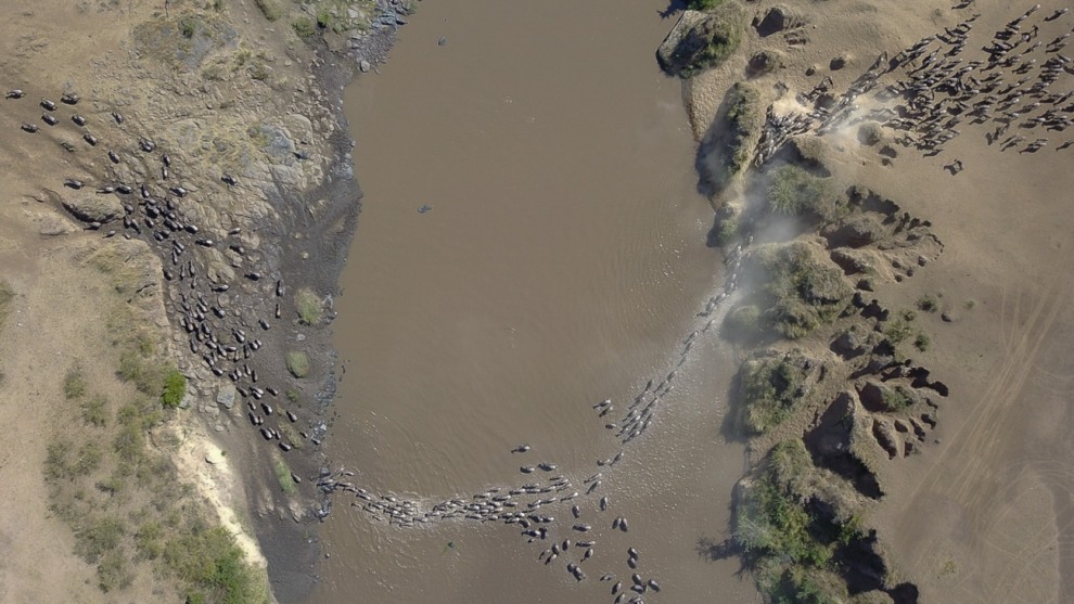 Highly commended, Great immigration birds eye view by Thomas Vijayen