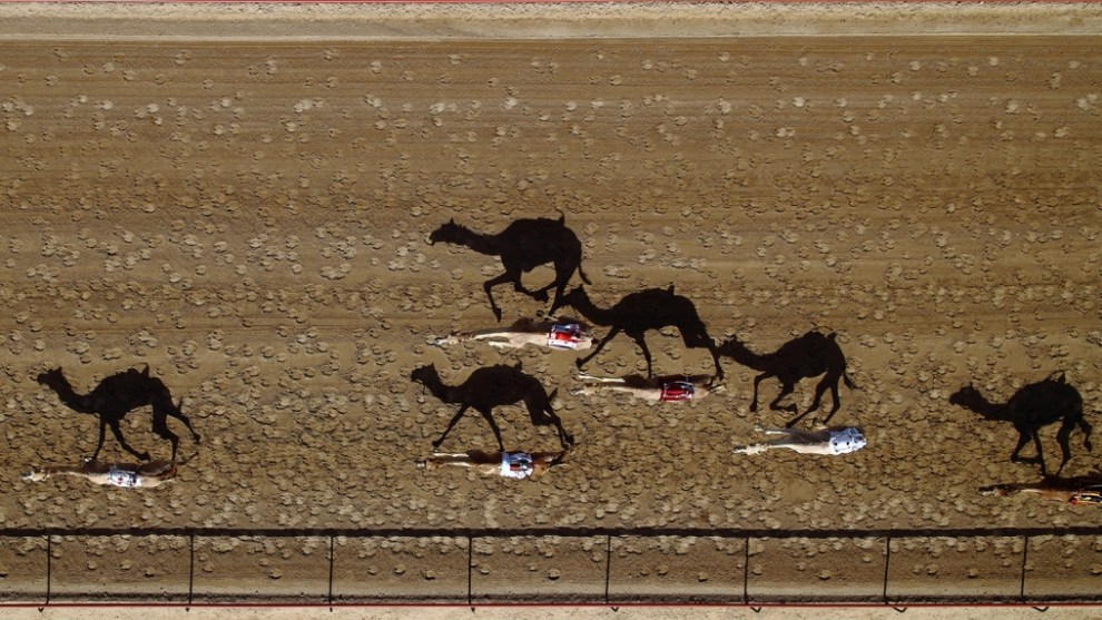 Highly commended, Vertical racing by Shoayb Khattab