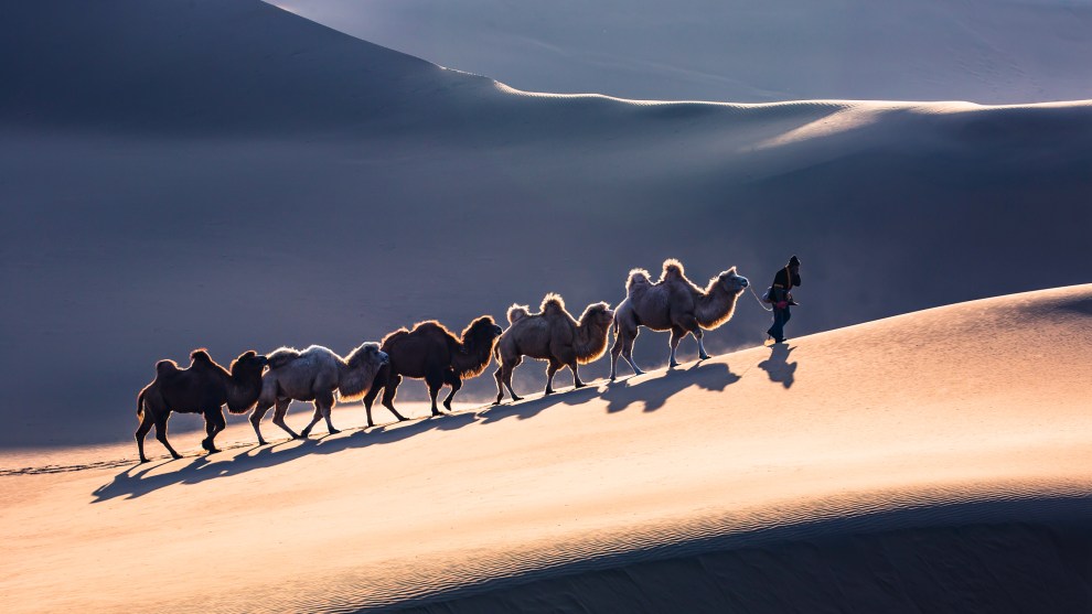Photographer: Pang Xiao Zhong, China

"The desert camels, set in the sunset, are photographed in Xinjiang, China."