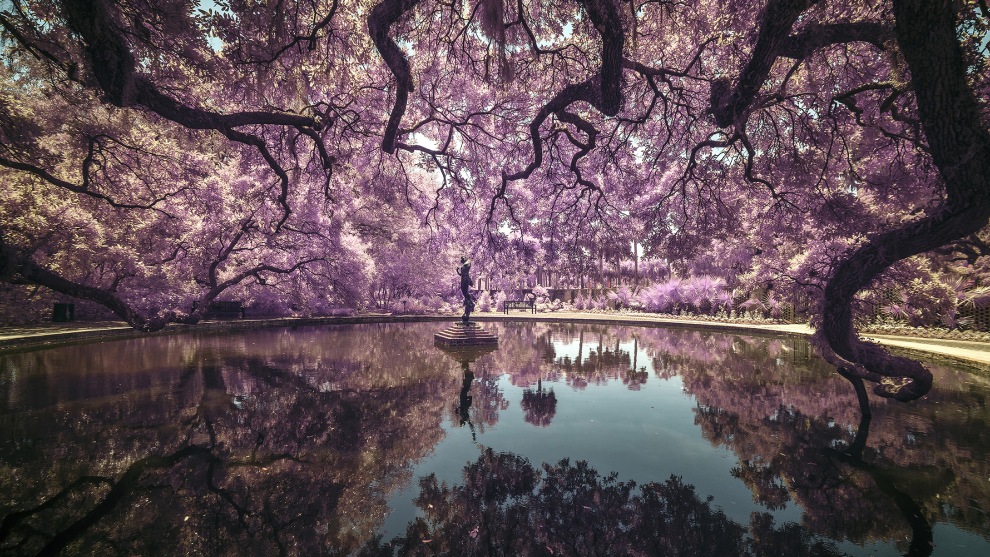 Photographer Name: Tonino Vicari

"A photograph of Brookgreen Garden. All I can say that the magic of the landscape garden is a perfect example of when man and nature can live together in harmony and peace."