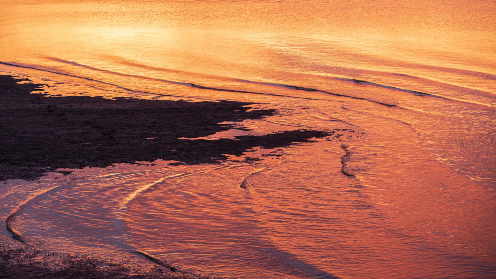 Image: Mike O'Connor