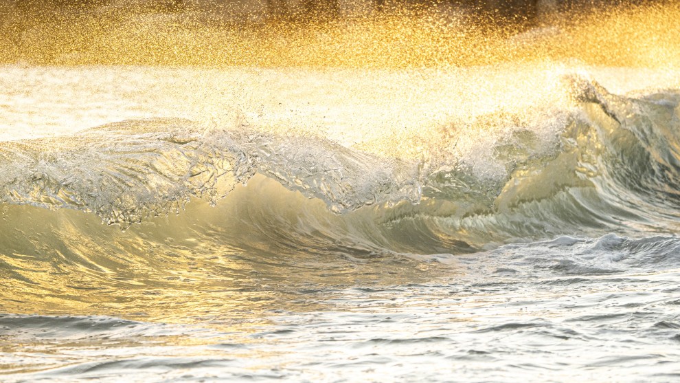 Image: Mike O'Connor