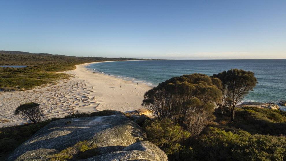 Image: Mike O'Connor