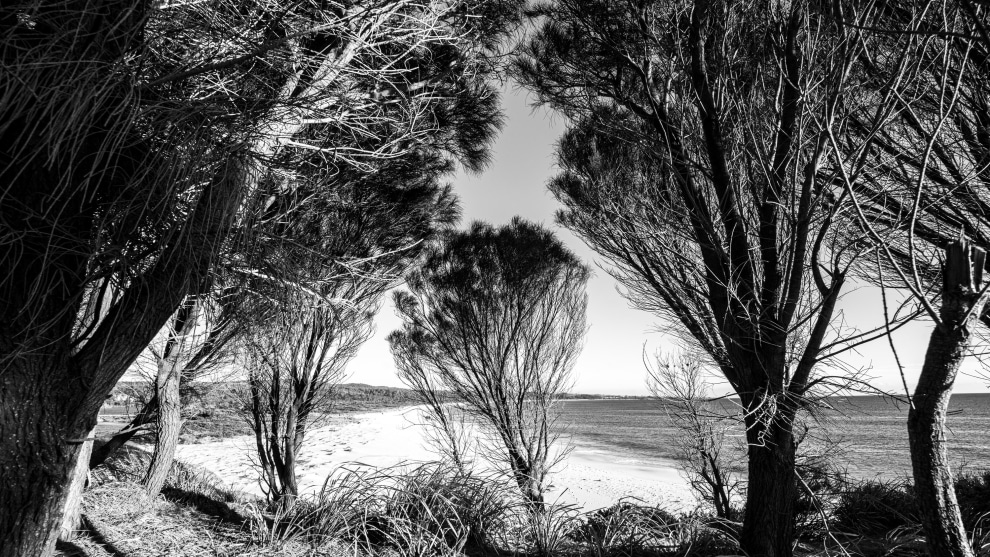 Image: Mike O'Connor