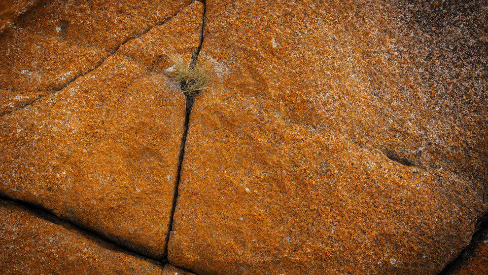 Image: Mike O'Connor