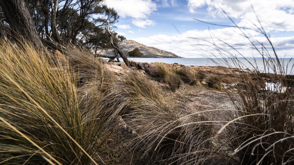 Image: Mike O'Connor