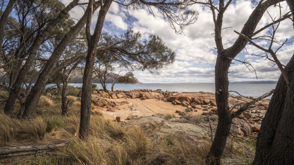 Image: Mike O'Connor