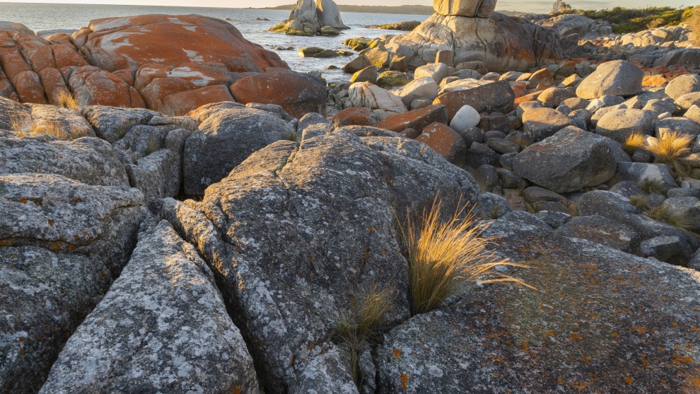 Image: Mike O'Connor