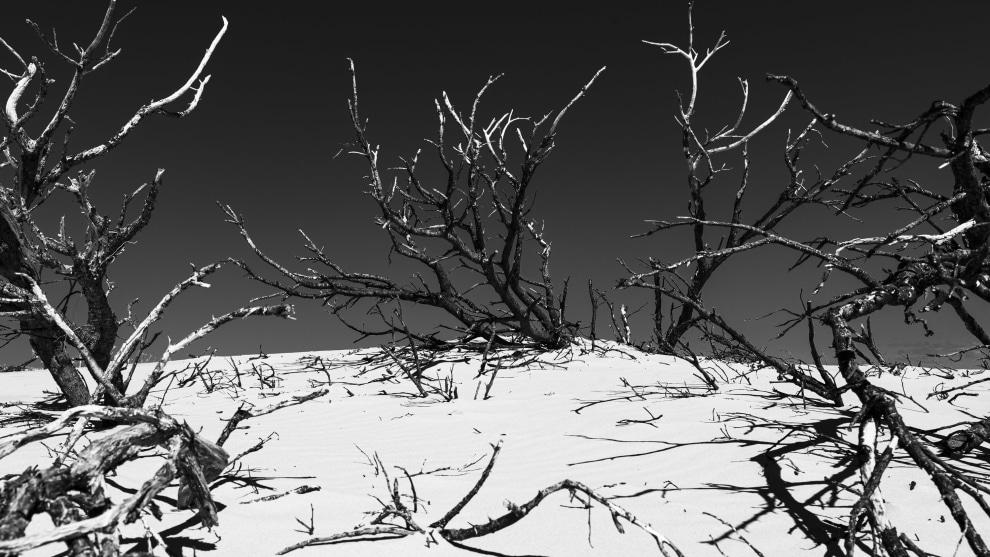 Image: Mike O'Connor