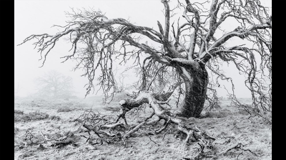 © Joy Kachina, Runner-Up, Landscape Category 2025
