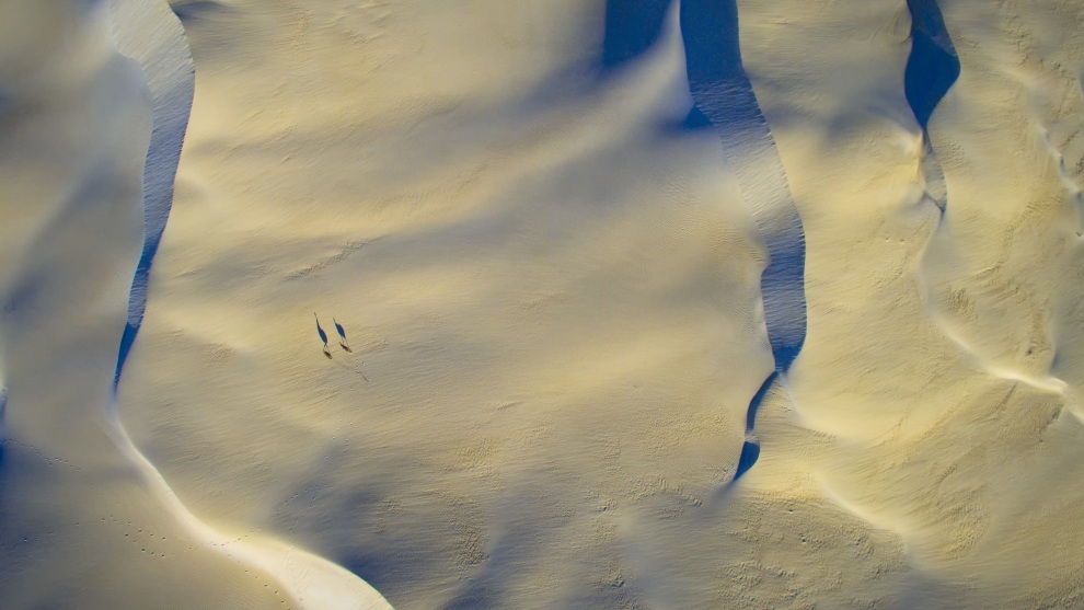 Winner: Josh Tagi ‘Evening Shadow’, St Ives NSW