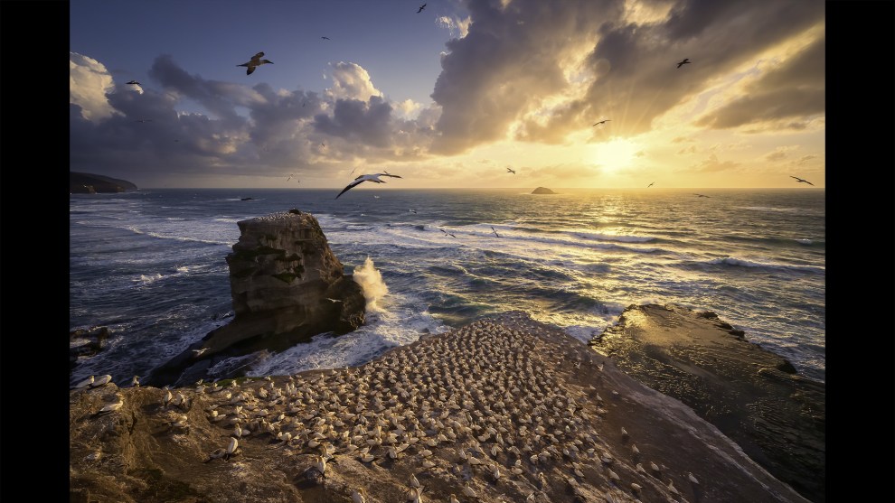 © Larn Berge, Winner, Seascape Category 2025