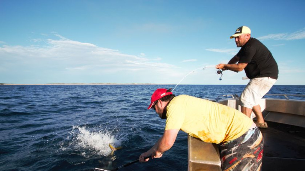 Light tackle microjigging for snapper, tuna and kingfish Fishing World