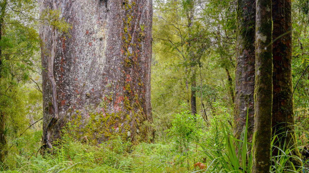 Image: New Zealand Photography Workshops