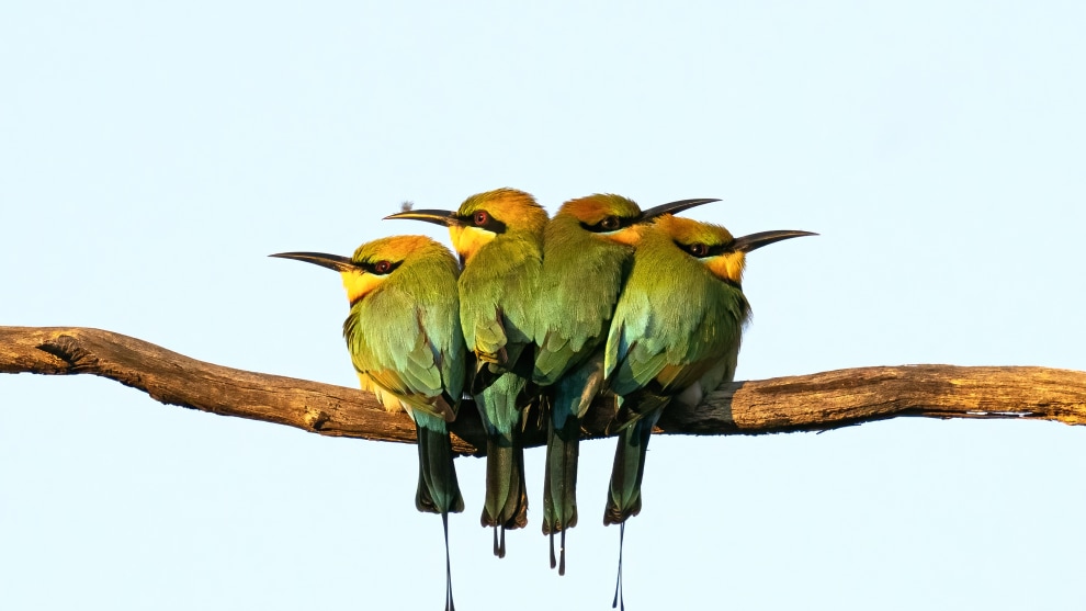 Image: Sandy Goddard