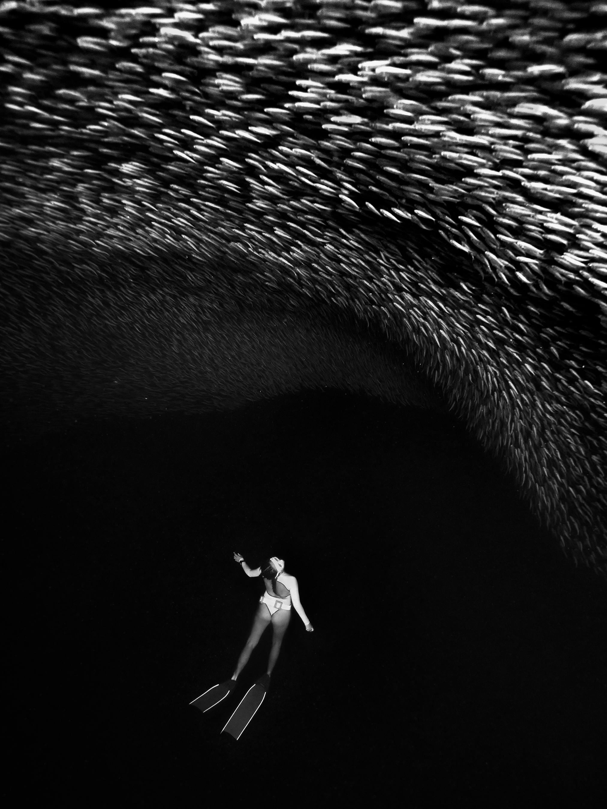 Visitor. Image: Maddison Woollard/supplied