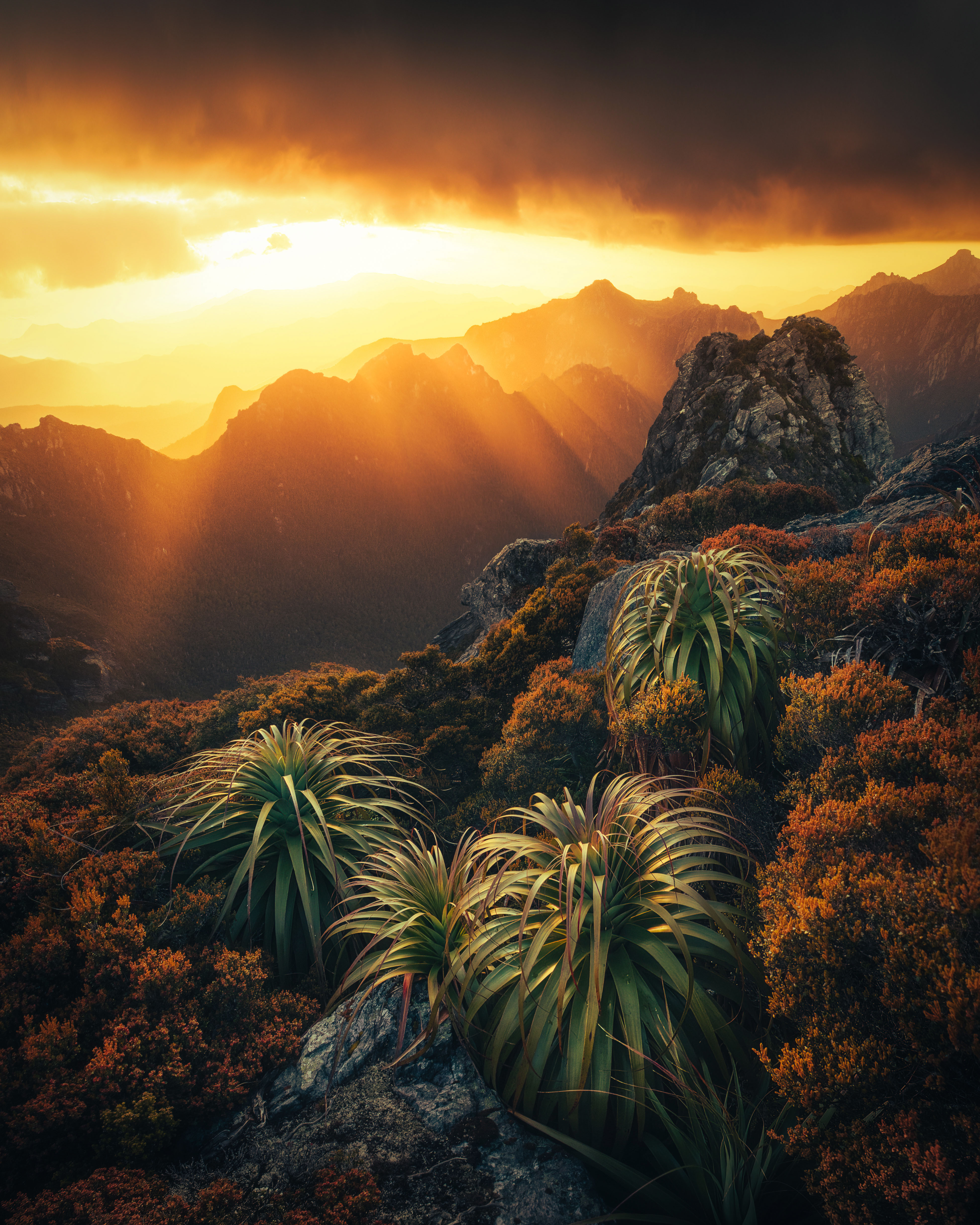 Winner, Landscape category, Ben Chubb, Forgotten Flame.