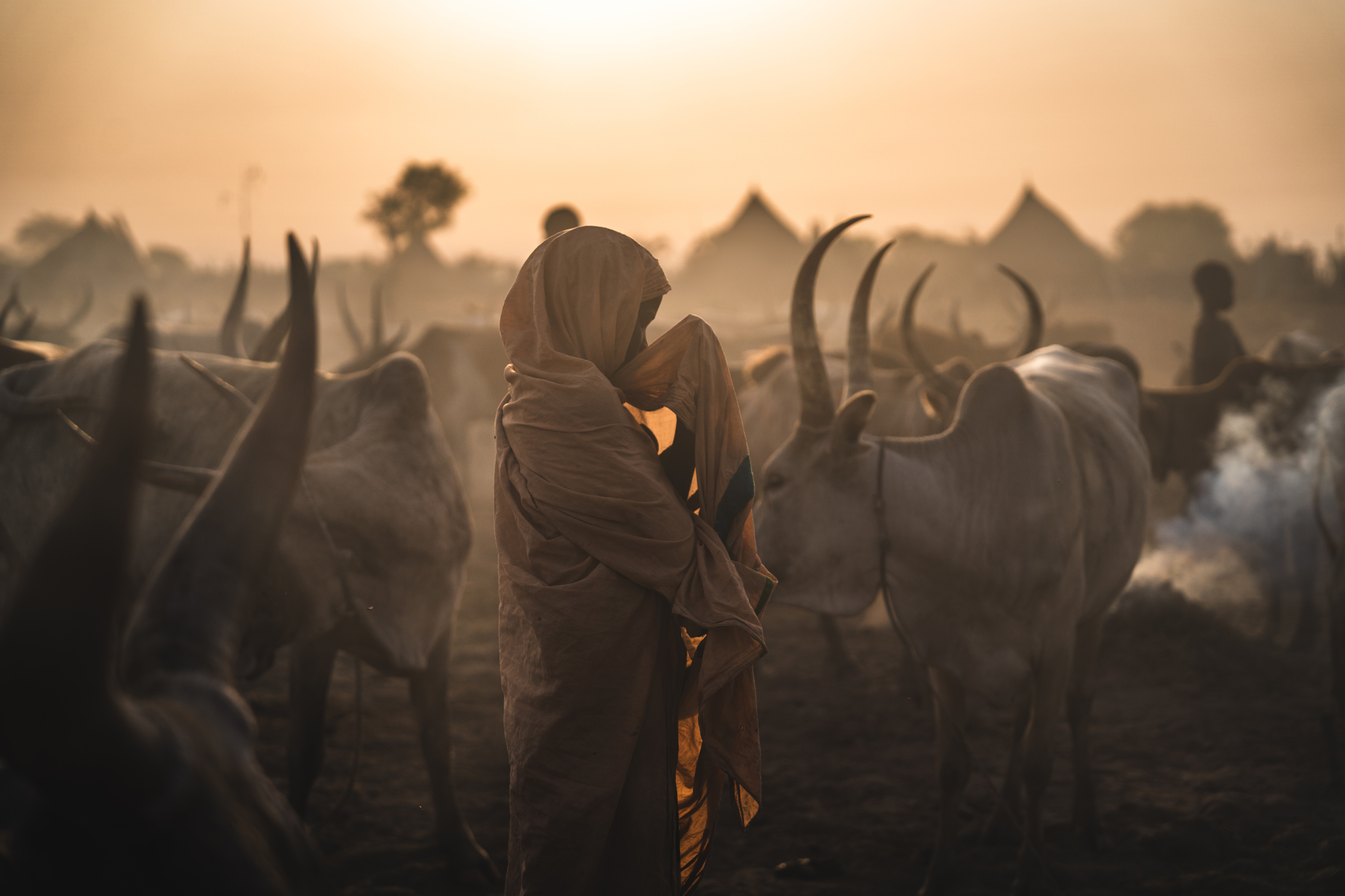 Image: Peter Bateman – 'One-year following the peacekeepers in South Sudan'. Documentary category 2025.