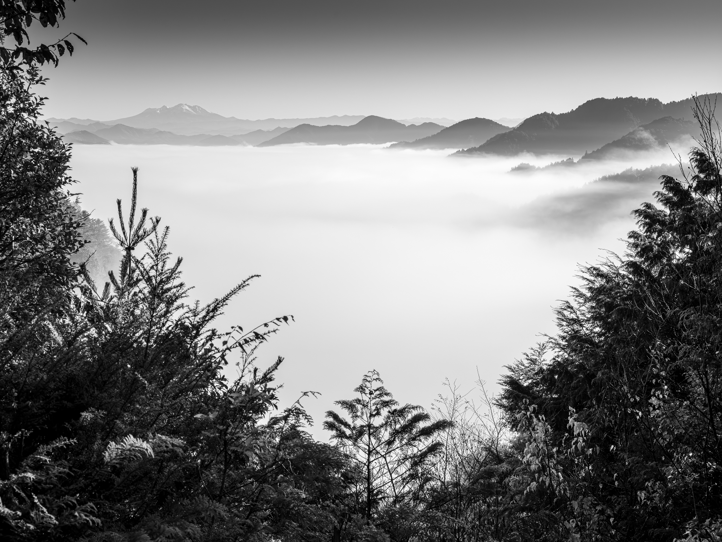 A Sea of Clouds by Lesley Bretherton