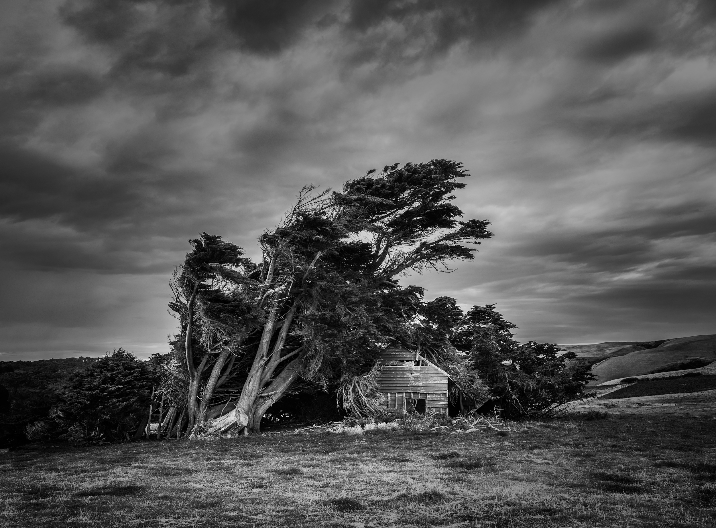 Shelter, Slope Point by Karen Morley