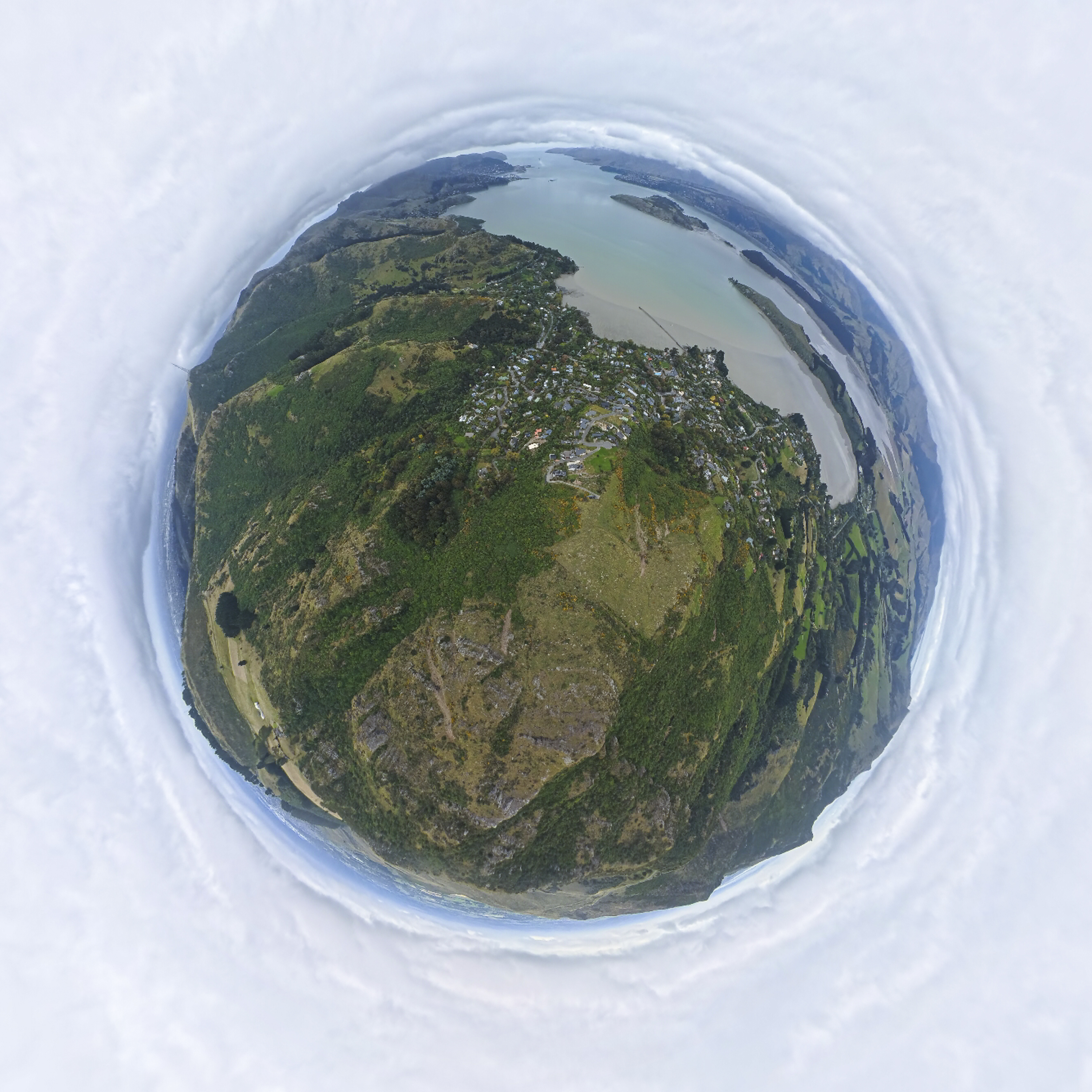 Image: Mike O'Connor