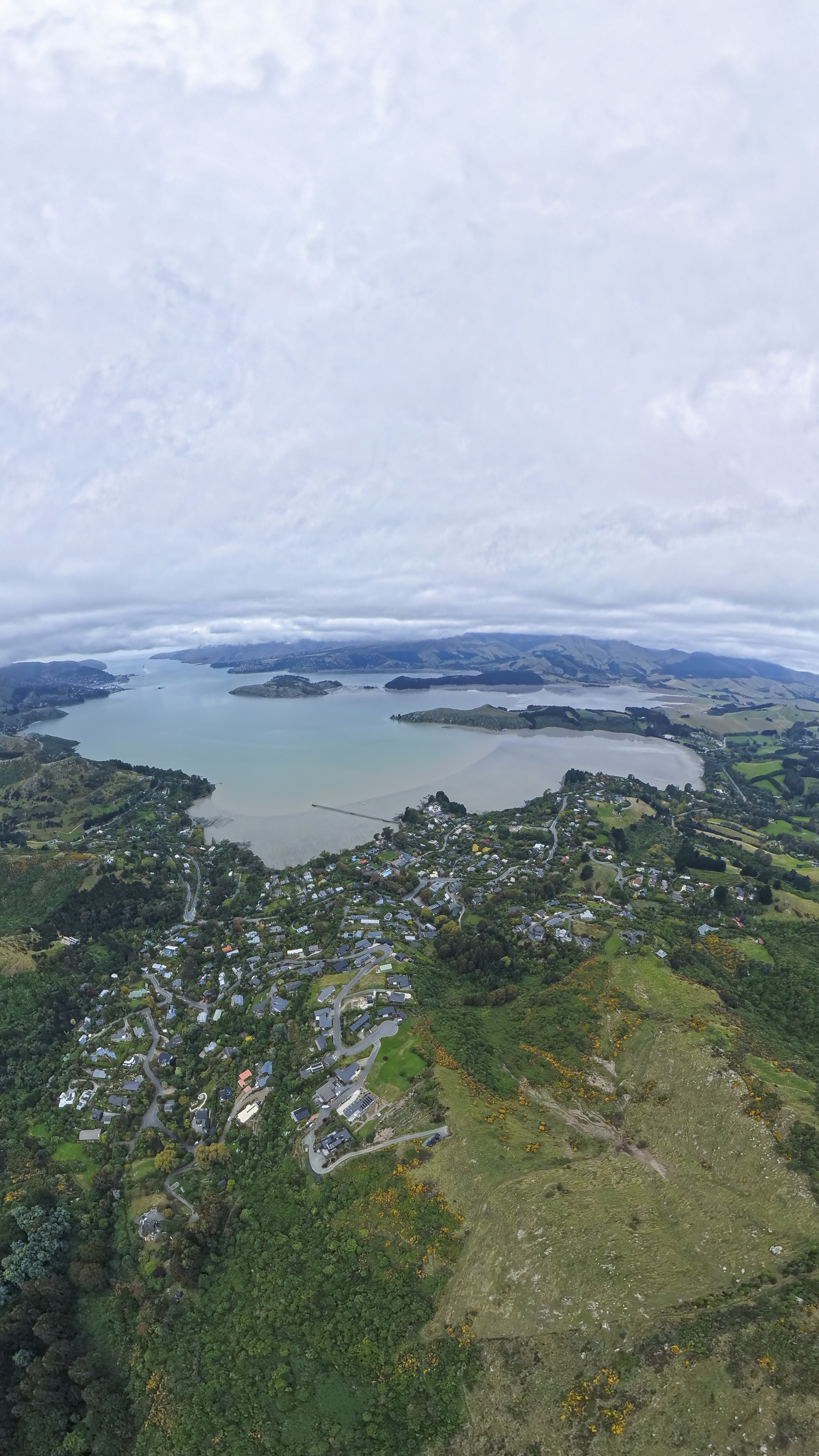 Image: Mike O'Connor