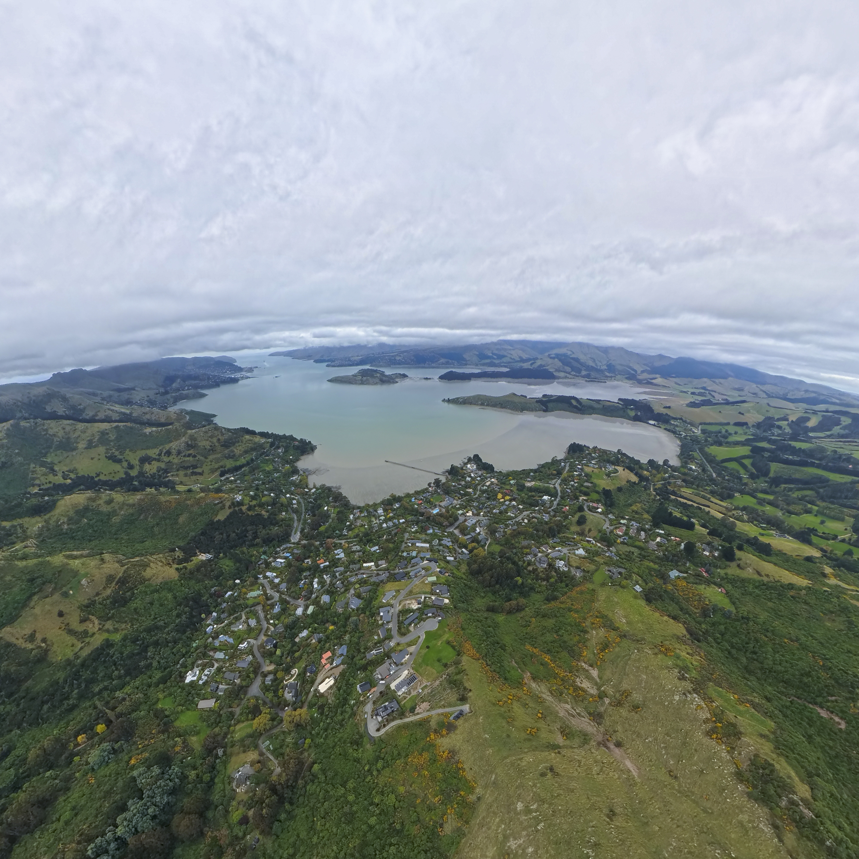 Image: Mike O'Connor