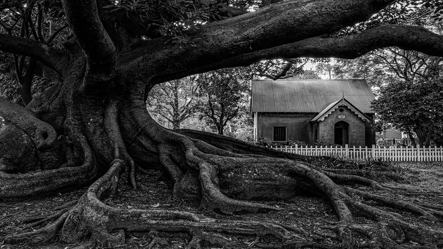 Little Cottage by Diane Todd