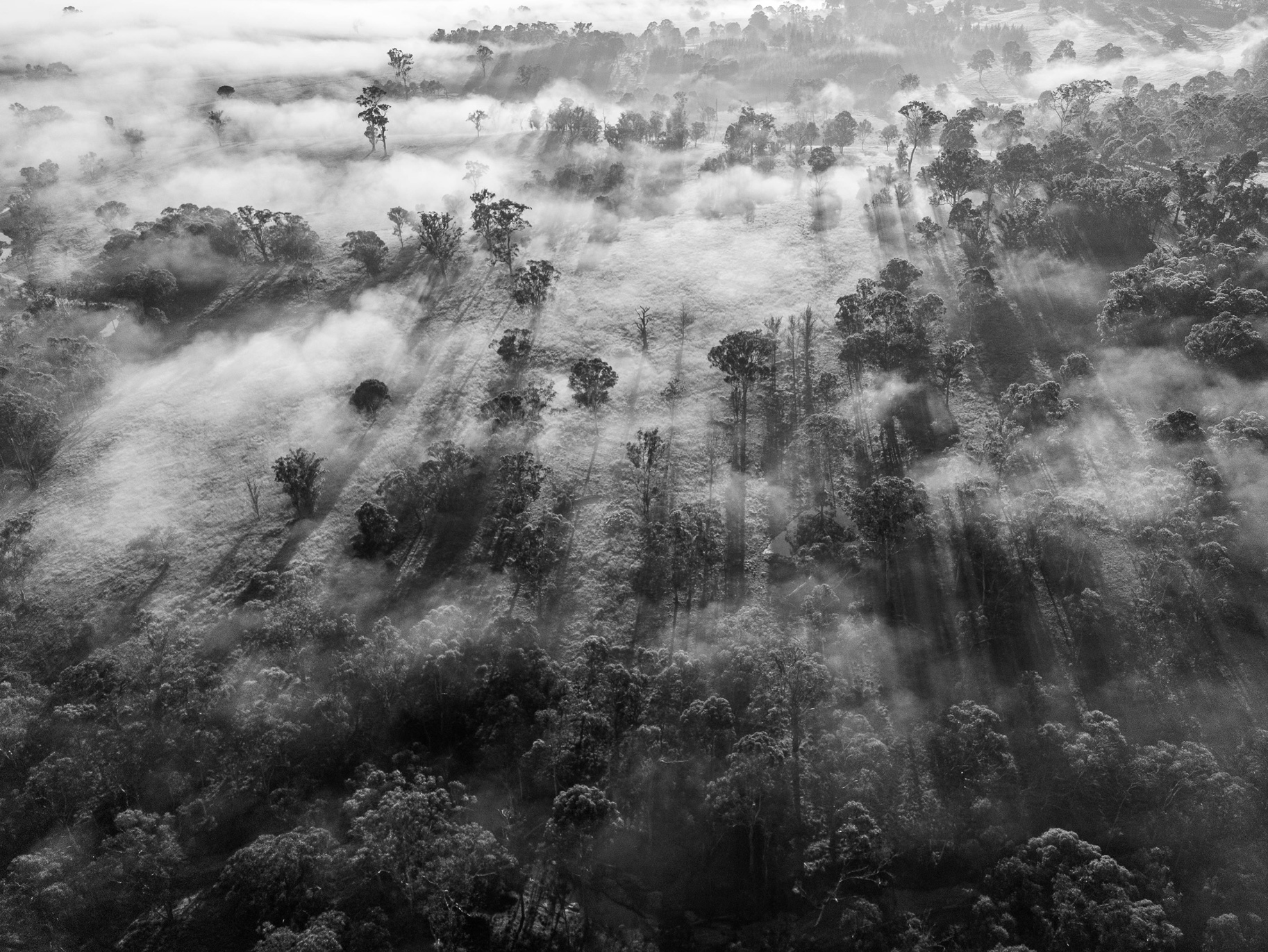 Foggy Mornings by Cliff Shipton