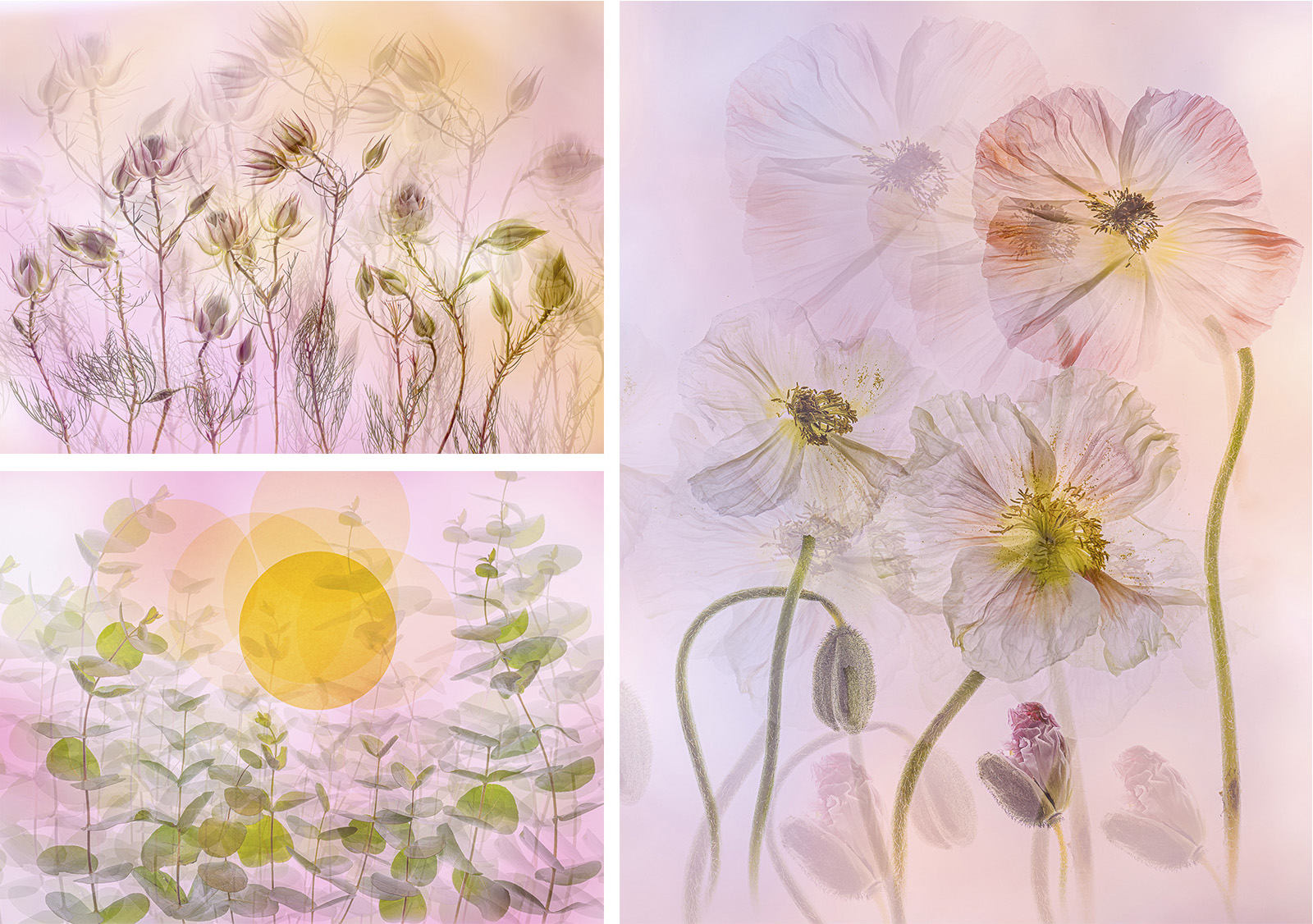 Lesley Bretherton