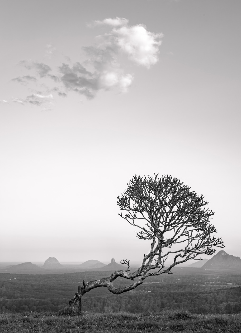 Stumbled by Nature, Queens Gardens by Lyn Alves