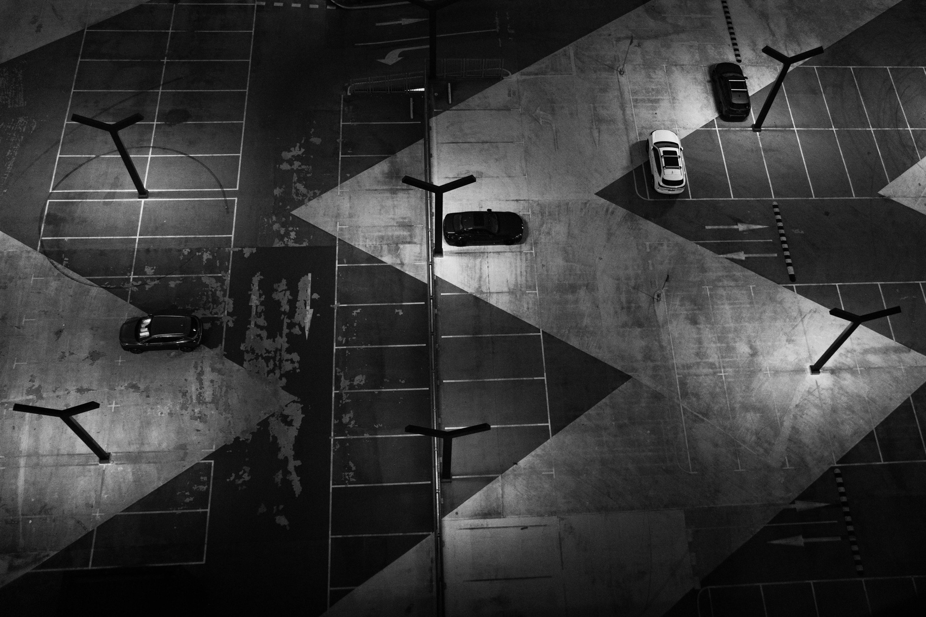 Old Fence by Celia Anderson