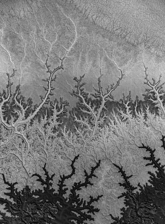 Fractal Patterns by Polly Fenton