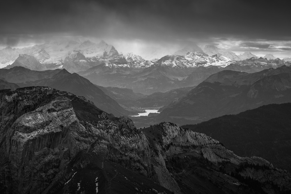 Nestle by Jamie Meyer