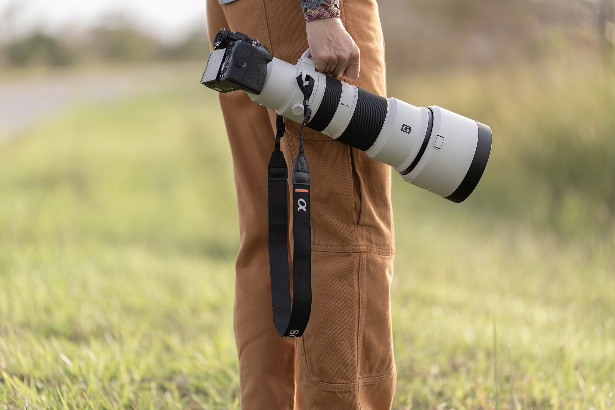 Image: Sony/supplied