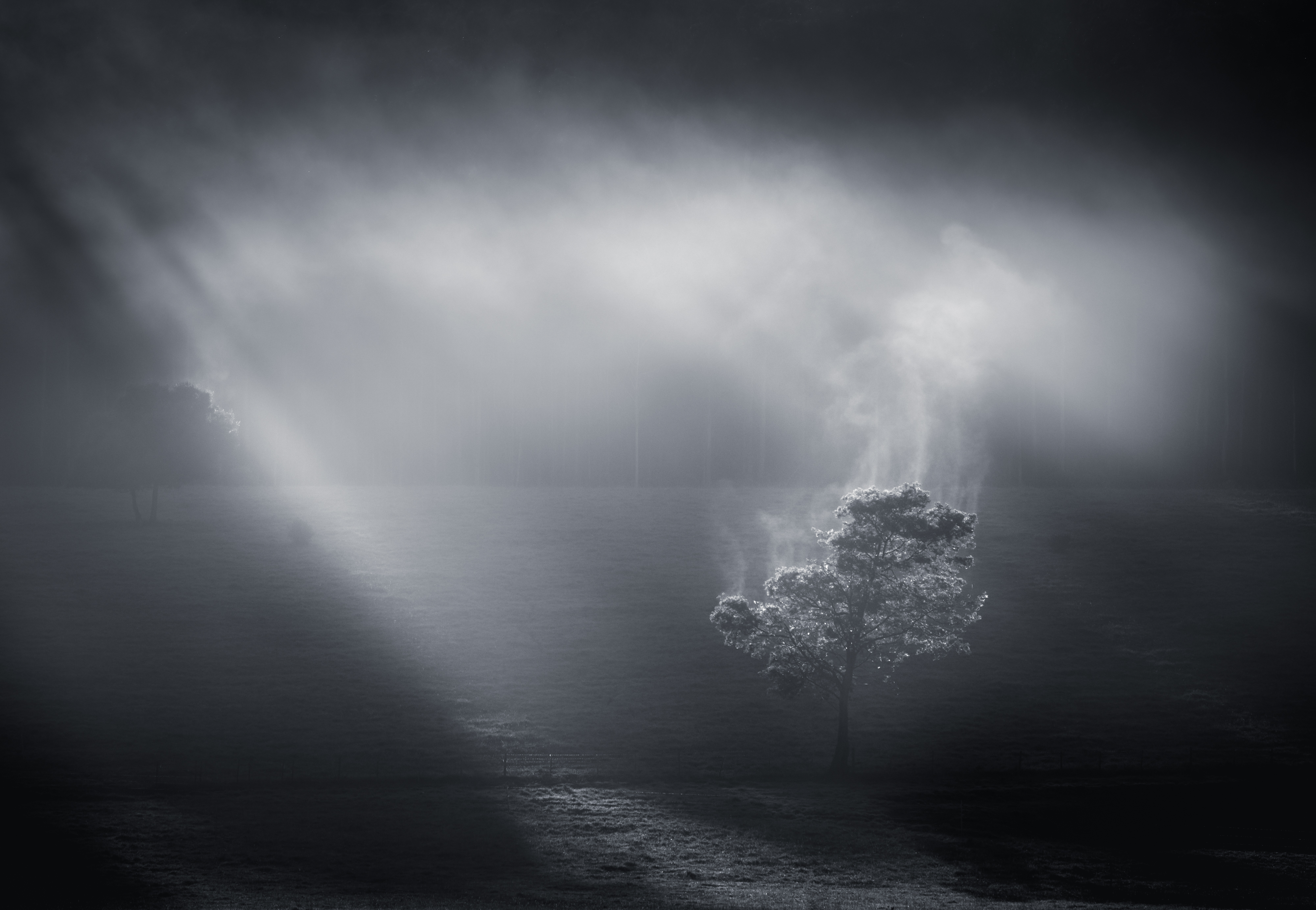 Breathe by Joy Kachina