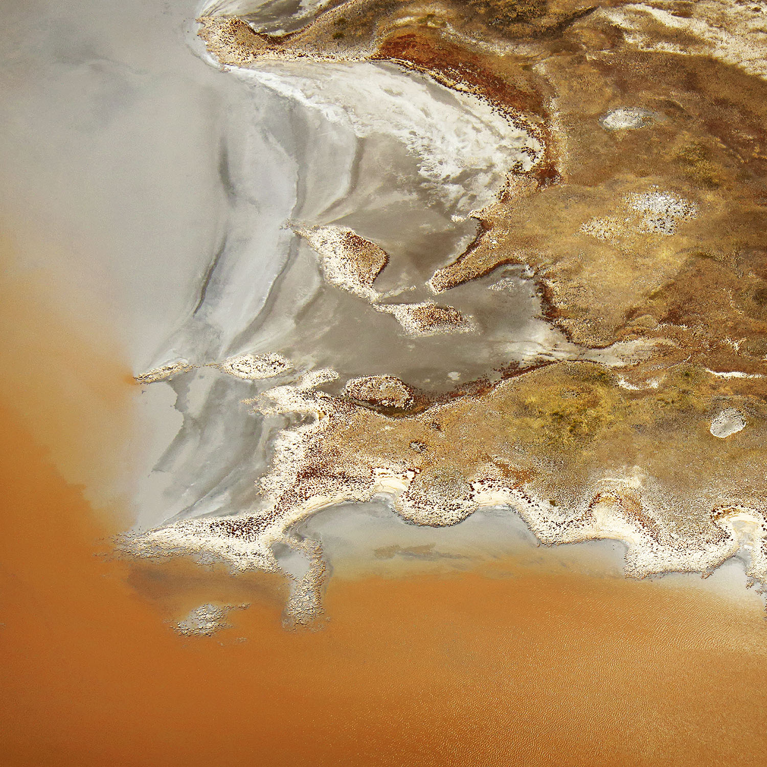 Sienna Delta. © Diana Yong.