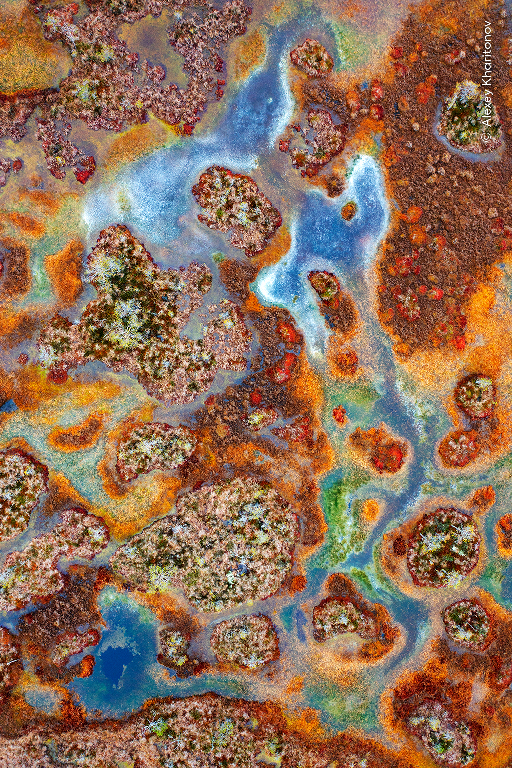 Taiga Tapestry - Alexey KharitonovWinner, Portfolio Award for Visions of the NorthA kaleidoscope of colours carpets Mukhinskoye Swamp under a grey sky. Blue lakes and channels fringed with white ice contrast with green and yellow grasses and widespread sphagnum mosses, which turn vibrant orange and red during the brief autumn. DJI Mavic 2 Pro + Hasselblad L1D-20c 28mm f2.8 lens; 1/30 at f2.8 (-0.3 e/v); ISO 100
